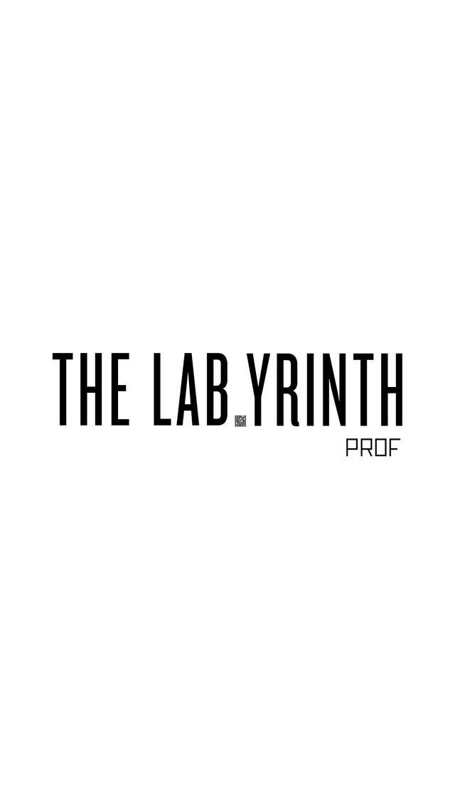 THE LABYRINTH PROF