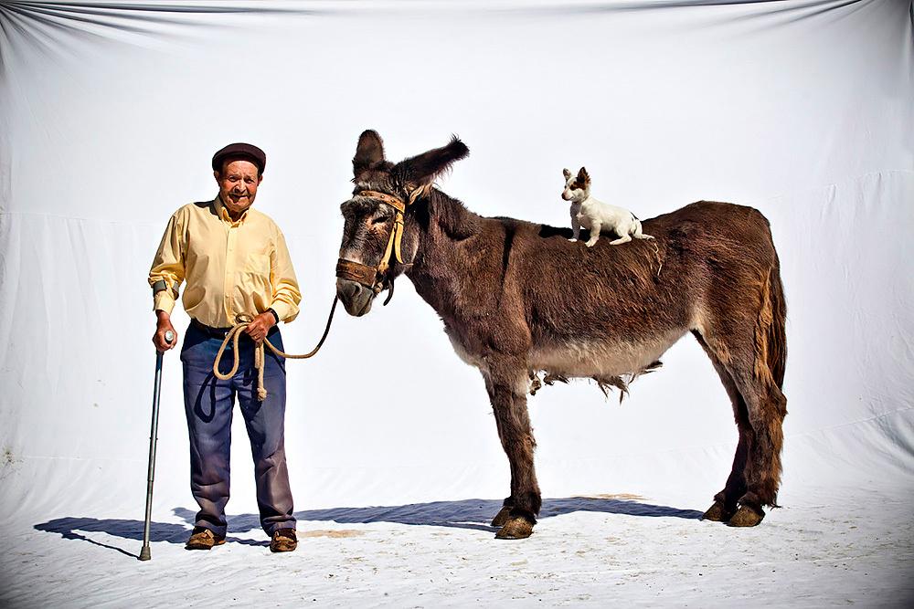 “Fé nos Burros”: exposição imperdível no Mercado do Bolhão